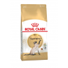 Royal Canin Siamese Adult (для cиамских кошек старше 12 месяцев) Royal Canin Siamese Adult (для cиамских кошек старше 12 месяцев)