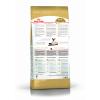 Royal Canin Siamese Adult (для cиамских кошек старше 12 месяцев) Royal Canin Siamese Adult (для cиамских кошек старше 12 месяцев)