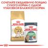Royal Canin Siamese Adult (для cиамских кошек старше 12 месяцев) Royal Canin Siamese Adult (для cиамских кошек старше 12 месяцев)