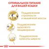 Royal Canin Siamese Adult (для cиамских кошек старше 12 месяцев) Royal Canin Siamese Adult (для cиамских кошек старше 12 месяцев)