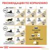 Royal Canin Siamese Adult (для cиамских кошек старше 12 месяцев) Royal Canin Siamese Adult (для cиамских кошек старше 12 месяцев)