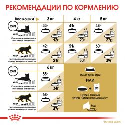 Royal Canin Siamese Adult (для cиамских кошек старше 12 месяцев) Royal Canin Siamese Adult (для cиамских кошек старше 12 месяцев)