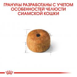 Royal Canin Siamese Adult (для cиамских кошек старше 12 месяцев) Royal Canin Siamese Adult (для cиамских кошек старше 12 месяцев)