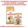 Royal Canin Siberian Adult (для взрослых Сибирских кошек от 12 месяцев) Royal Canin Siberian Adult (для взрослых Сибирских кошек от 12 месяцев)