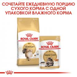 Royal Canin Siberian Adult (для взрослых Сибирских кошек от 12 месяцев) Royal Canin Siberian Adult (для взрослых Сибирских кошек от 12 месяцев)