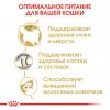 Royal Canin Siberian Adult (для взрослых Сибирских кошек от 12 месяцев) Royal Canin Siberian Adult (для взрослых Сибирских кошек от 12 месяцев)