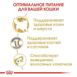 Royal Canin Siberian Adult (для взрослых Сибирских кошек от 12 месяцев) Royal Canin Siberian Adult (для взрослых Сибирских кошек от 12 месяцев)