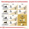 Royal Canin Siberian Adult (для взрослых Сибирских кошек от 12 месяцев) Royal Canin Siberian Adult (для взрослых Сибирских кошек от 12 месяцев)
