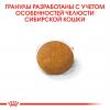 Royal Canin Siberian Adult (для взрослых Сибирских кошек от 12 месяцев) Royal Canin Siberian Adult (для взрослых Сибирских кошек от 12 месяцев)