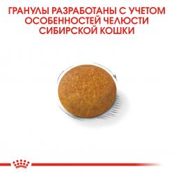 Royal Canin Siberian Adult (для взрослых Сибирских кошек от 12 месяцев) Royal Canin Siberian Adult (для взрослых Сибирских кошек от 12 месяцев)