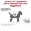 Royal Canin Skin Care Small dogs (для собак менее 10 кг при дерматозах) Royal Canin Skin Care Small dogs (для собак менее 10 кг при дерматозах)