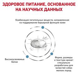 Royal Canin Skin Care Small dogs (для собак менее 10 кг при дерматозах) Royal Canin Skin Care Small dogs (для собак менее 10 кг при дерматозах)