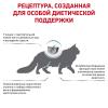 Royal Canin Skin & Coat (для кошек с повышенной чувствительностью кожи)