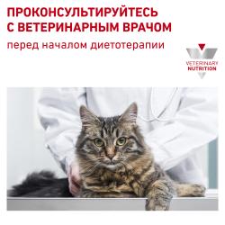 Royal Canin Skin & Coat (для кошек с повышенной чувствительностью кожи)
