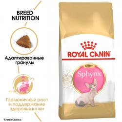 Royal Canin Sphynx Kitten (сухой корм для котят породы Сфинкс до 12 месяцев)  Royal Canin Sphynx Kitten (сухой корм для котят породы Сфинкс до 12 месяцев)