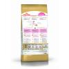 Royal Canin Sphynx Kitten (сухой корм для котят породы Сфинкс до 12 месяцев)  Royal Canin Sphynx Kitten (сухой корм для котят породы Сфинкс до 12 месяцев)