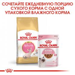 Royal Canin Sphynx Kitten (сухой корм для котят породы Сфинкс до 12 месяцев)  Royal Canin Sphynx Kitten (сухой корм для котят породы Сфинкс до 12 месяцев)