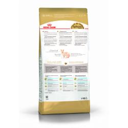 Royal Canin Sphynx (для кошек породы сфинкс старше 12 месяцев) Royal Canin Sphynx (для кошек породы сфинкс старше 12 месяцев)