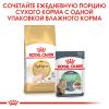 Royal Canin Sphynx (для кошек породы сфинкс старше 12 месяцев) Royal Canin Sphynx (для кошек породы сфинкс старше 12 месяцев)