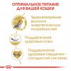 Royal Canin Sphynx (для кошек породы сфинкс старше 12 месяцев) Royal Canin Sphynx (для кошек породы сфинкс старше 12 месяцев)