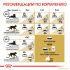 Royal Canin Sphynx (для кошек породы сфинкс старше 12 месяцев) Royal Canin Sphynx (для кошек породы сфинкс старше 12 месяцев)