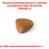 Royal Canin Sphynx (для кошек породы сфинкс старше 12 месяцев) Royal Canin Sphynx (для кошек породы сфинкс старше 12 месяцев)
