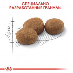 Royal Canin Sterilised 37 (для стерилизованных кошек с 1 до 7 лет)
