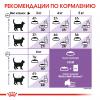 Royal Canin Sterilised 37 (для стерилизованных кошек с 1 до 7 лет)