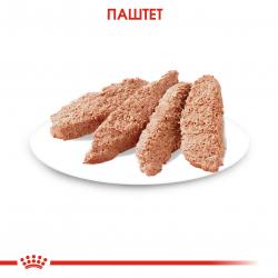 Royal Canin Sterilised 85г х 12шт (паштет для стерилизованных кошек)