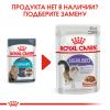Royal Canin Urinary Care  85г х 12 шт (в соусе, для профилактики мочекаменной болезни)