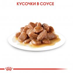 Royal Canin Urinary Care  85г х 12 шт (в соусе, для профилактики мочекаменной болезни)
