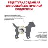Royal Canin Urinary S/O Small Dog (для собак мелких пород при заболеваниях мочевыделительной системы)