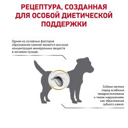 Royal Canin Urinary S/O Small Dog (для собак мелких пород при заболеваниях мочевыделительной системы)