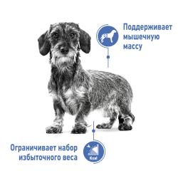 Royal Canin X-Small Light Weight Care (для стареющих собак, склонных к лишнему весу) Royal Canin X-Small Light Weight Care (для стареющих собак, склонных к лишнему весу)