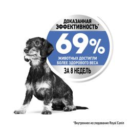 Royal Canin X-Small Light Weight Care (для стареющих собак, склонных к лишнему весу) Royal Canin X-Small Light Weight Care (для стареющих собак, склонных к лишнему весу)