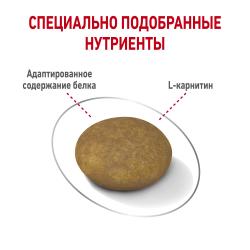 Royal Canin X-Small Light Weight Care (для стареющих собак, склонных к лишнему весу) Royal Canin X-Small Light Weight Care (для стареющих собак, склонных к лишнему весу)