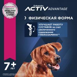 Eukanuba Senior 7+ Large Breed (для пожилых собак крупных и очень крупных пород старше 7 лет, с птицей) Eukanuba Senior 7+ Large Breed (для пожилых собак крупных и очень крупных пород старше 7 лет, с птицей)