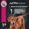 Eukanuba Adult Large Breed (для взрослых собак крупных и очень крупных пород от года и старше, с птицей) Eukanuba Adult Large Breed (для взрослых собак крупных и очень крупных пород от года и старше, с птицей)