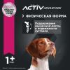Eukanuba Adult Medium Breed (для взрослых собак средних пород от года и старше, с птицей) Eukanuba Adult Medium Breed (для взрослых собак средних пород от года и старше, с птицей)
