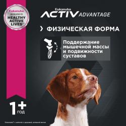 Eukanuba Adult Medium Breed (для взрослых собак средних пород от года и старше, с птицей) Eukanuba Adult Medium Breed (для взрослых собак средних пород от года и старше, с птицей)