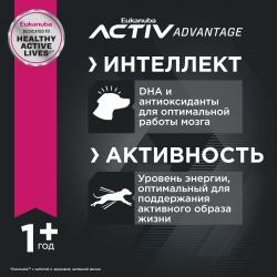 Eukanuba Adult Medium Breed (для взрослых собак средних пород от года и старше, с птицей) Eukanuba Adult Medium Breed (для взрослых собак средних пород от года и старше, с птицей)