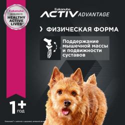 Eukanuba Adult Small Breed (для взрослых собак мелких пород от года и старше, с птицей) Eukanuba Adult Small Breed (для взрослых собак мелких пород от года и старше, с птицей)