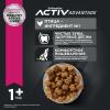 Eukanuba Adult Small Breed (для взрослых собак мелких пород от года и старше, с птицей) Eukanuba Adult Small Breed (для взрослых собак мелких пород от года и старше, с птицей)