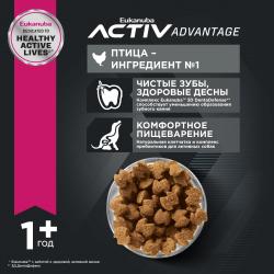 Eukanuba Adult Small Breed (для взрослых собак мелких пород от года и старше, с птицей) Eukanuba Adult Small Breed (для взрослых собак мелких пород от года и старше, с птицей)