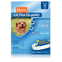 Hartz UltraGuard (ошейник для щенков от блох и клещей, 38 см) Hartz UltraGuard (ошейник для щенков от блох и клещей, 38 см)