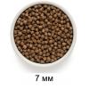 Grandorf Dog Adult Mini Monoprotein (индейка для собак мини пород)  Grandorf Dog Adult Mini Monoprotein (индейка для собак мини пород)