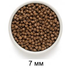 Grandorf Dog Adult Mini Monoprotein (индейка для собак мини пород)  Grandorf Dog Adult Mini Monoprotein (индейка для собак мини пород)