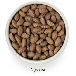 Grandorf Dog Adult  Maxi Breeds Monoprotein (низкозерновой корм для собак крупных пород, с индейкой)  Grandorf Dog Adult  Maxi Breeds Monoprotein (низкозерновой корм для собак крупных пород, с индейкой)